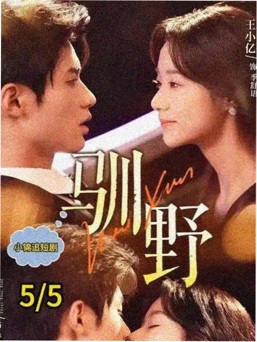 长相思第二季古装剧免费看更新海报